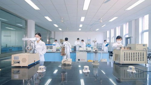 山東高速建材集團(tuán)路用新材料公司以科技創(chuàng)新驅(qū)動發(fā)展，深耕新材料技術(shù)研發(fā)