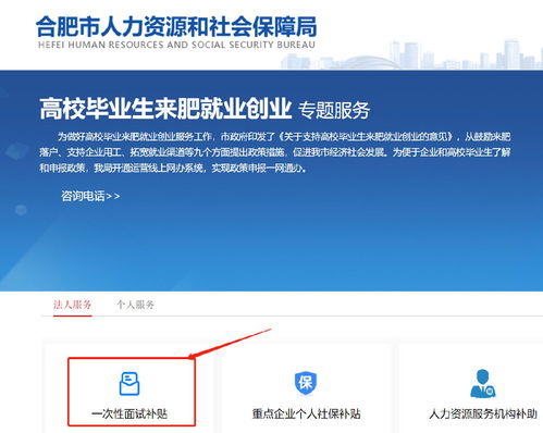 高校畢業(yè)生來合肥一次性面試補貼申請指南及職業(yè)中介活動解析